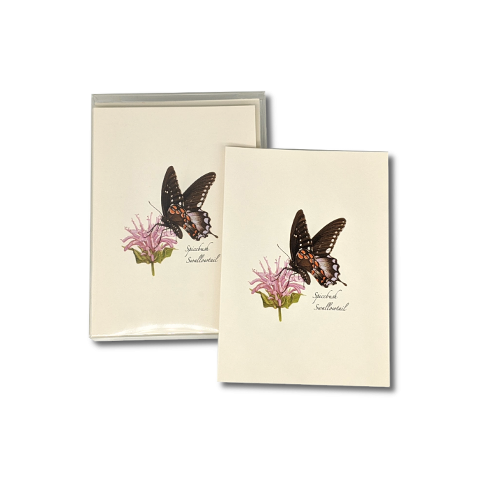 Spicebush Swallowtail Butterfly Notecard Set