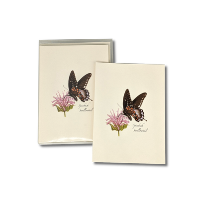 Spicebush Swallowtail Butterfly Notecard Set