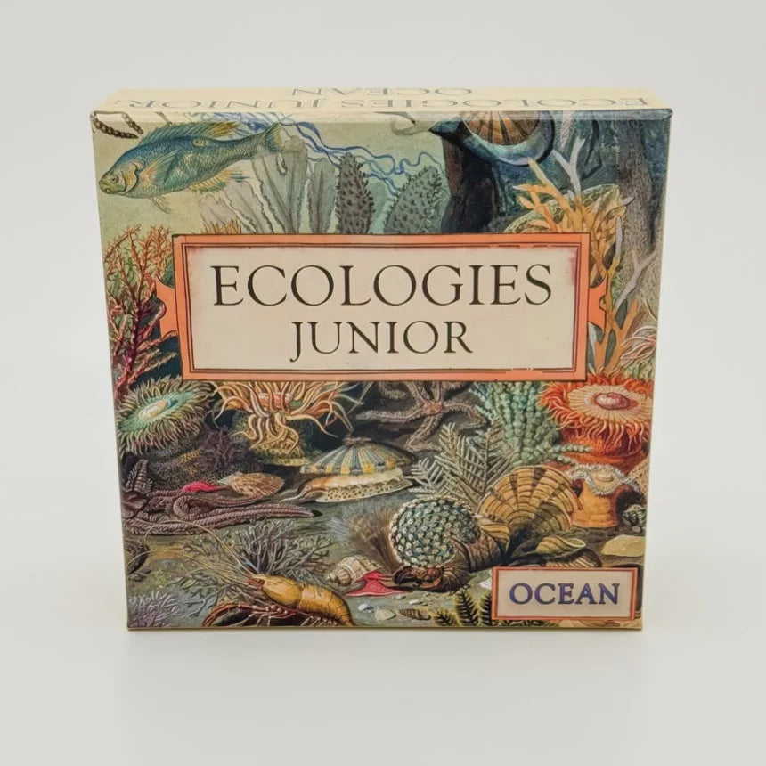 Ecologies Junior: Ocean Game