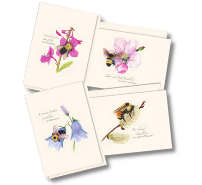 Spring Bee Assortment Notecard Set