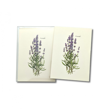 Lavender Notecard Set