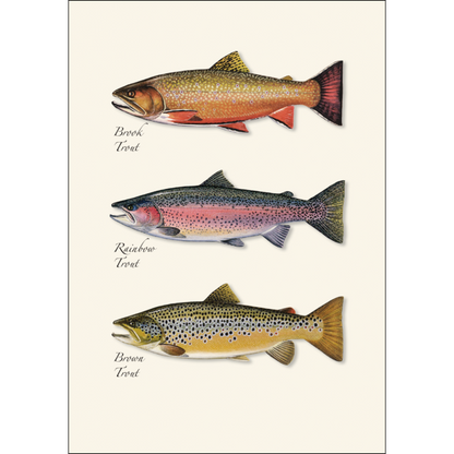 Trout Trio Notecard Set