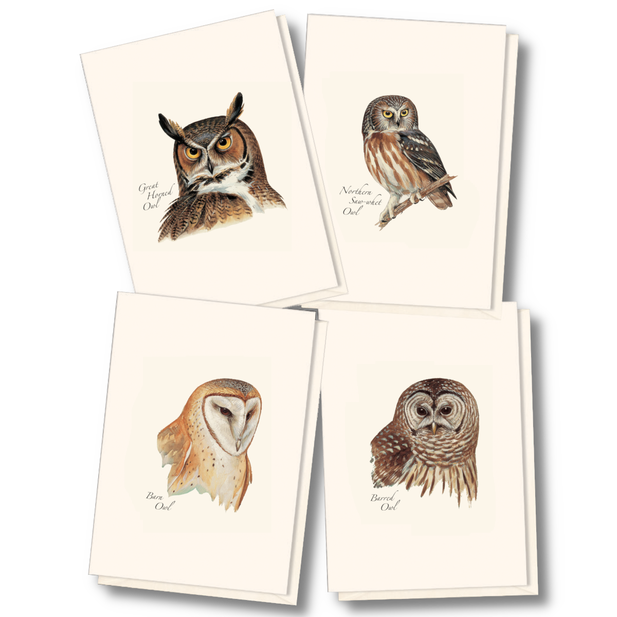 Peterson's Owl Assortment Notecard Set