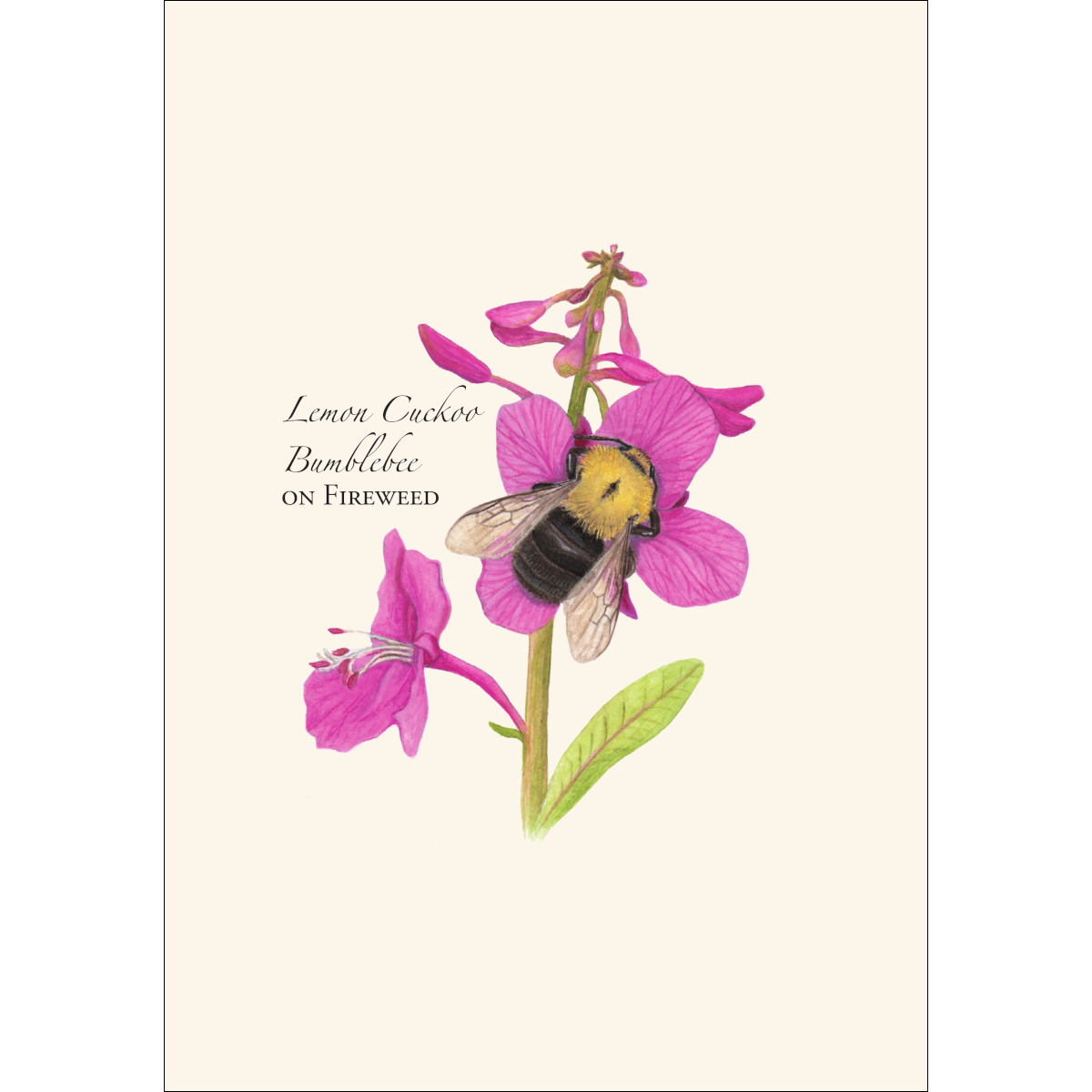 Spring Bee Assortment Notecard Set