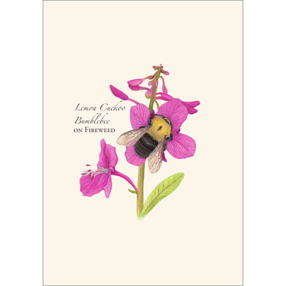 Spring Bee Assortment Notecard Set