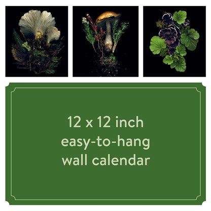 Deep Dark Forest 2025 Wall Calendar