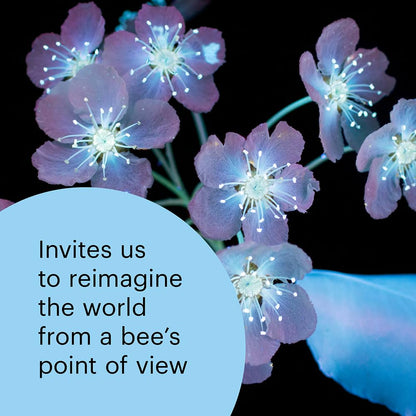 What the Bees See: A Honeybee's Eye View of the World by Craig P. Burrows