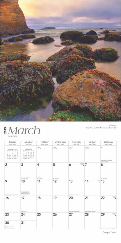 Oregon Coast 2025 Monthly Square Wall Calendar