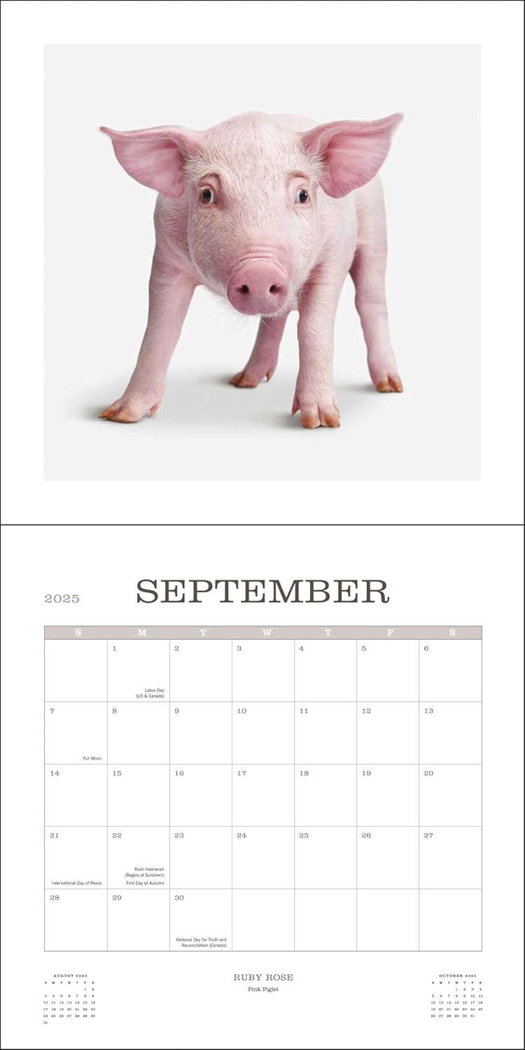 Farm Life 2025 Wall Calendar