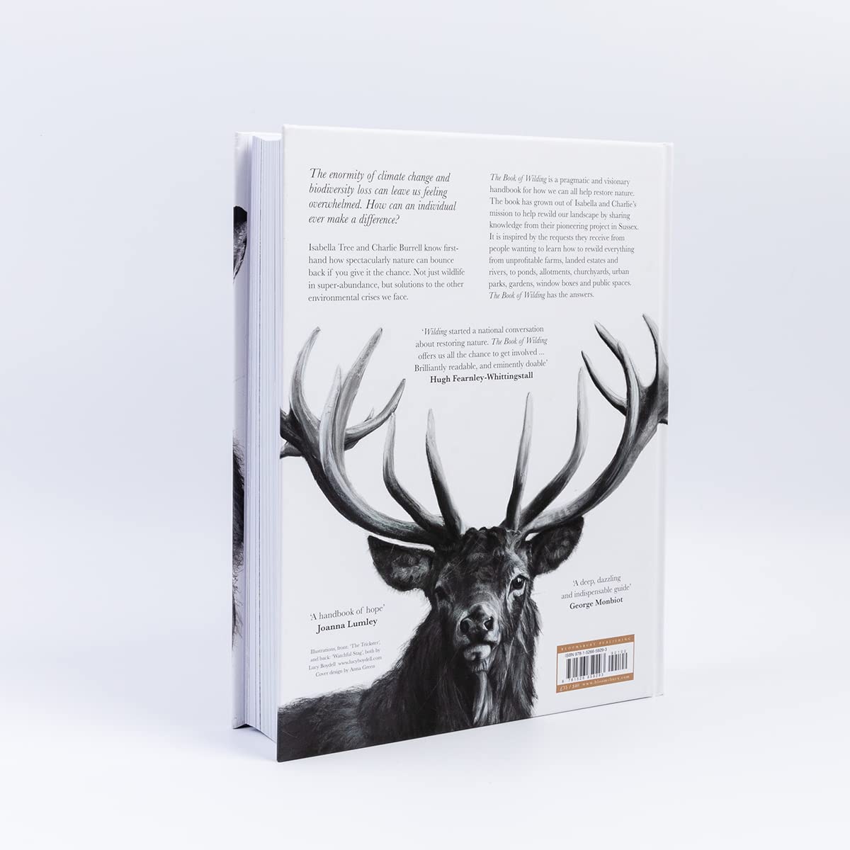 The Book of Wilding: A Practical Guide to Rewilding Big and Small by Isabella Tree, Charlie Burrell