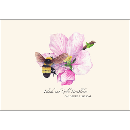 Spring Bee Assortment Notecard Set