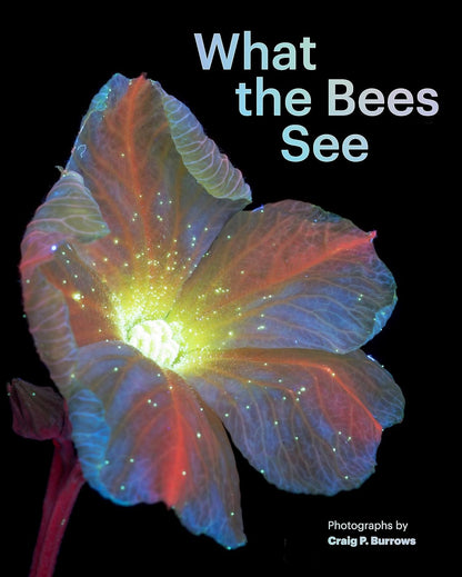 What the Bees See: A Honeybee's Eye View of the World by Craig P. Burrows