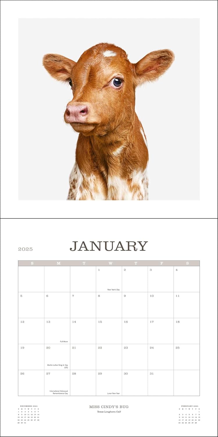 Farm Life 2025 Wall Calendar