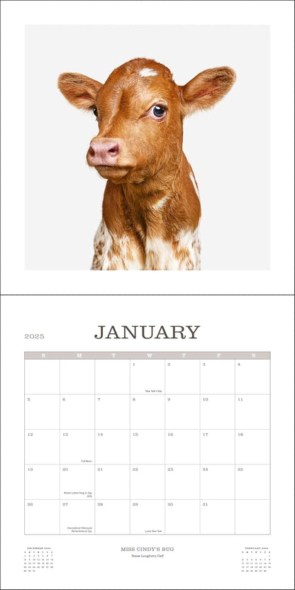 Farm Life 2025 Wall Calendar