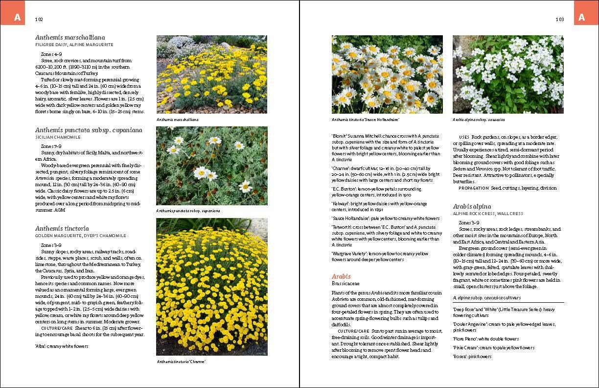 The Complete Book of Ground Covers: 4000 Plants That Reduce Maintenance, Control Erosion, and Beautify the Landscape by Gary Lewis