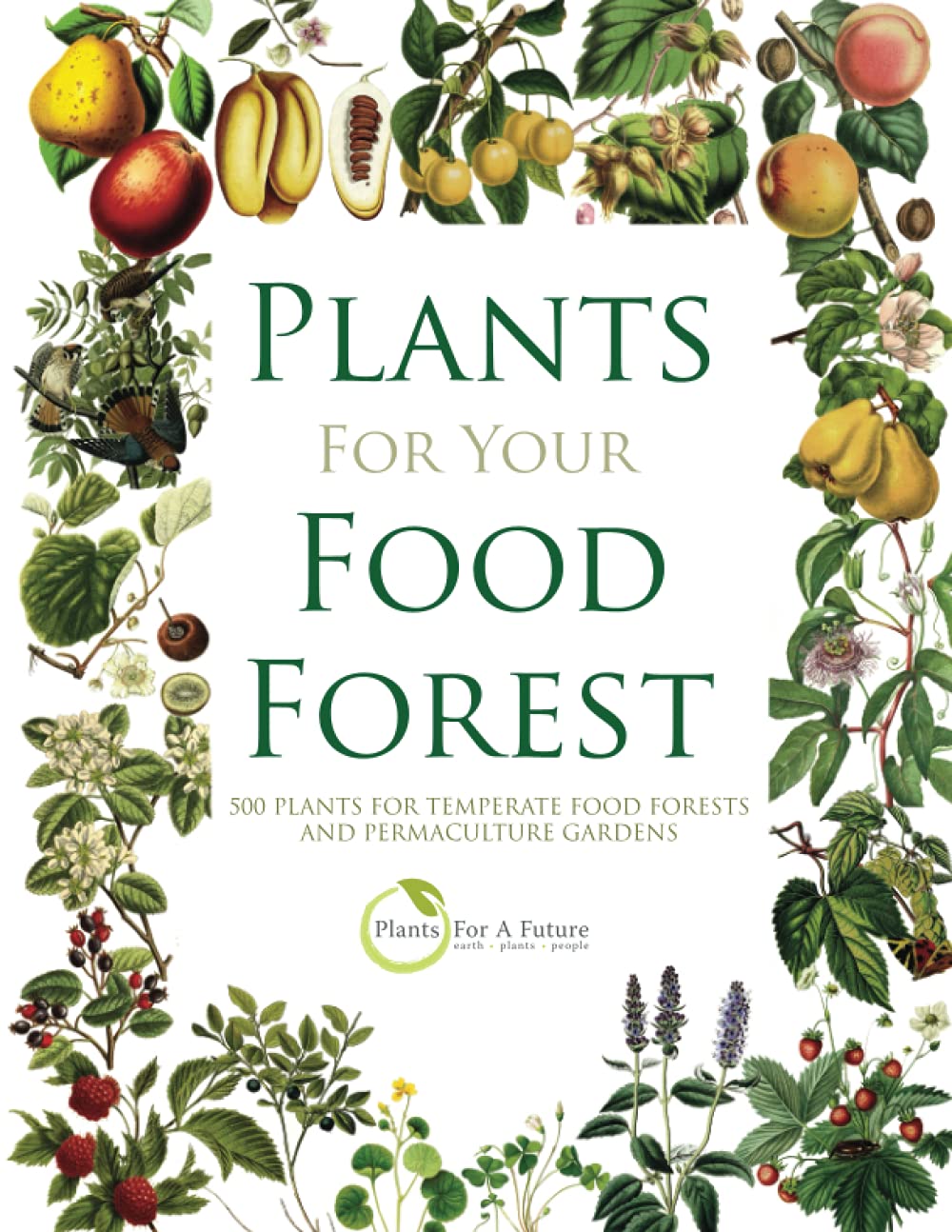 Plants for Your Food Forest: 500 Plants for Temperate Food Forests and Permaculture Gardens by Plants for a Future