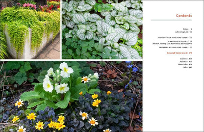 The Complete Book of Ground Covers: 4000 Plants That Reduce Maintenance, Control Erosion, and Beautify the Landscape by Gary Lewis