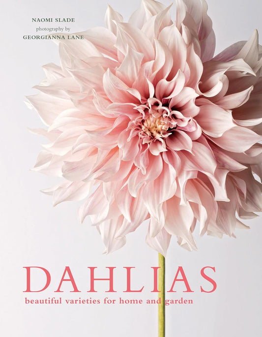 Dahlias: Beautiful Varieties for Home & Garden by Naomi Slade, Georgianna Lane (Photographer)