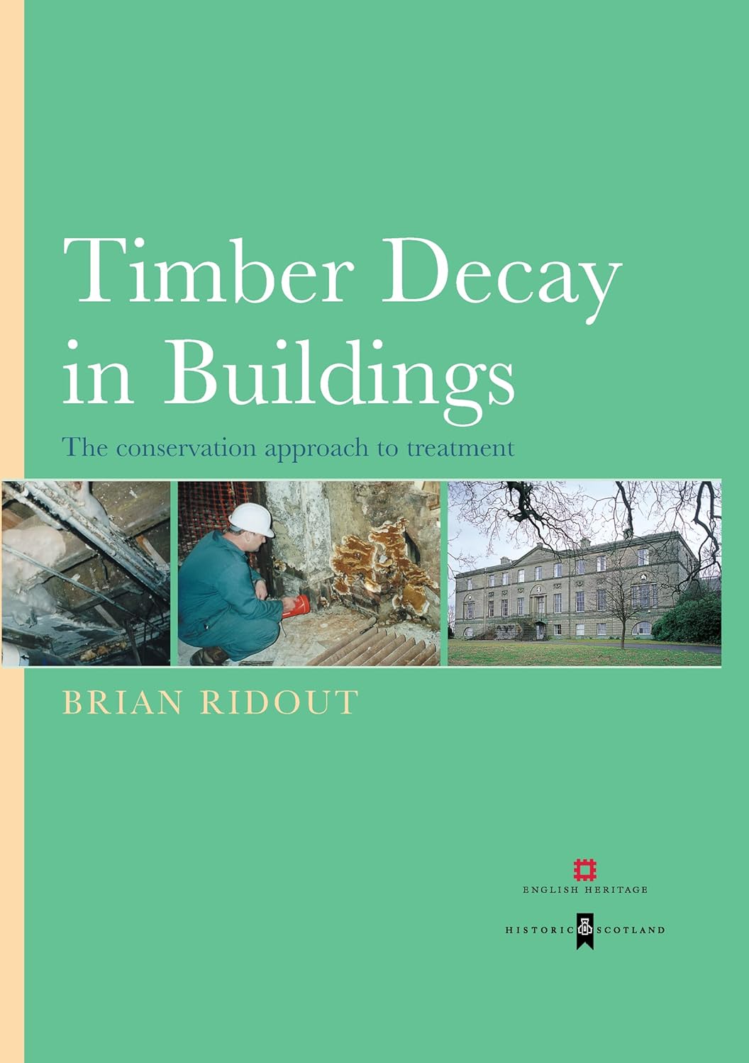 Timber Decay in Buildings: The Conservation Approach to Treatment by Brian Ridout