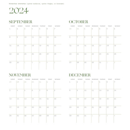 Deep Dark Forest 2025 Wall Calendar