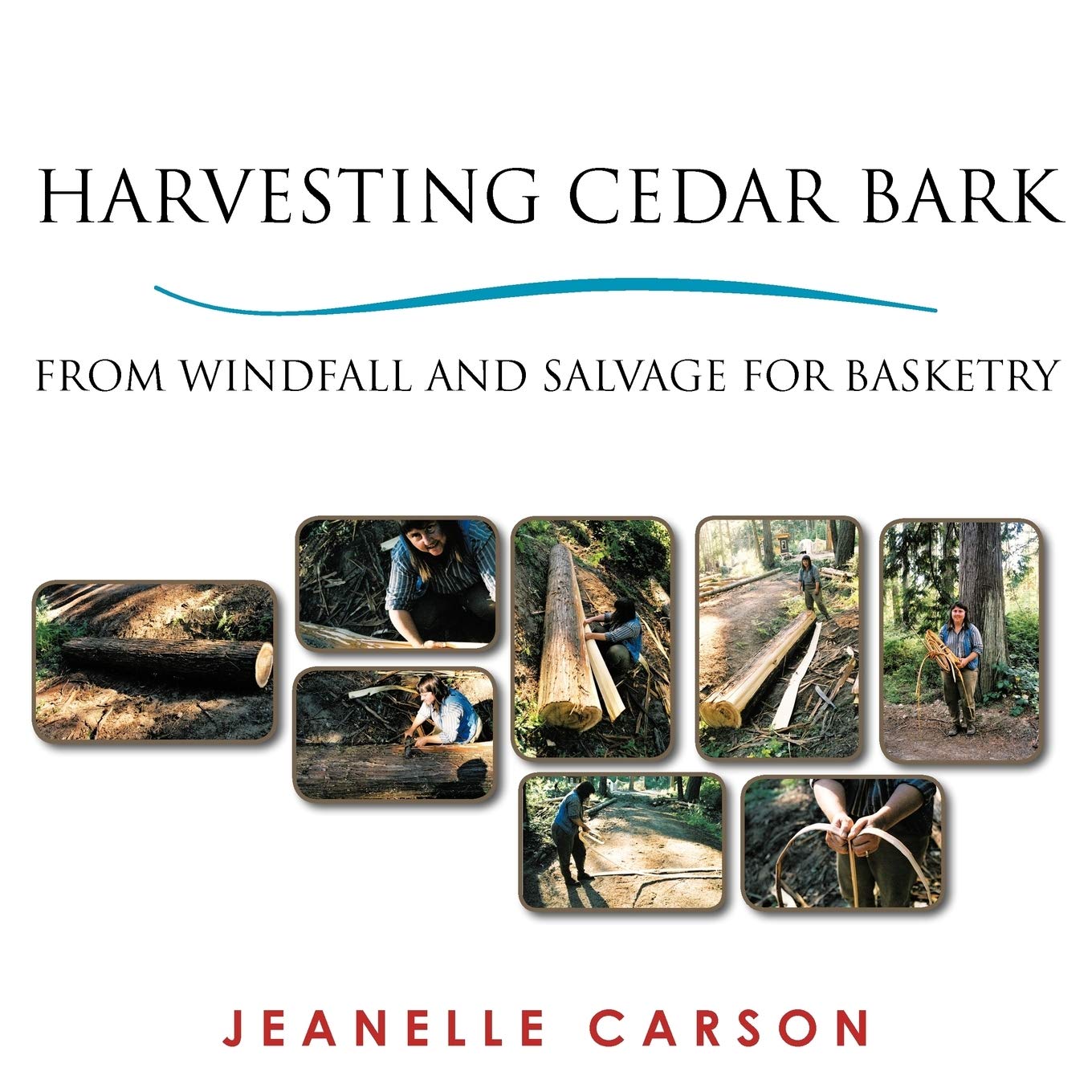 Harvesting Cedar Bark: From Windfall and Salvage for Basketry by Jeanelle Carson