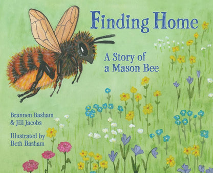 Finding Home: A Story of a Mason Bee by Brannen Basham, Jill Jacobs