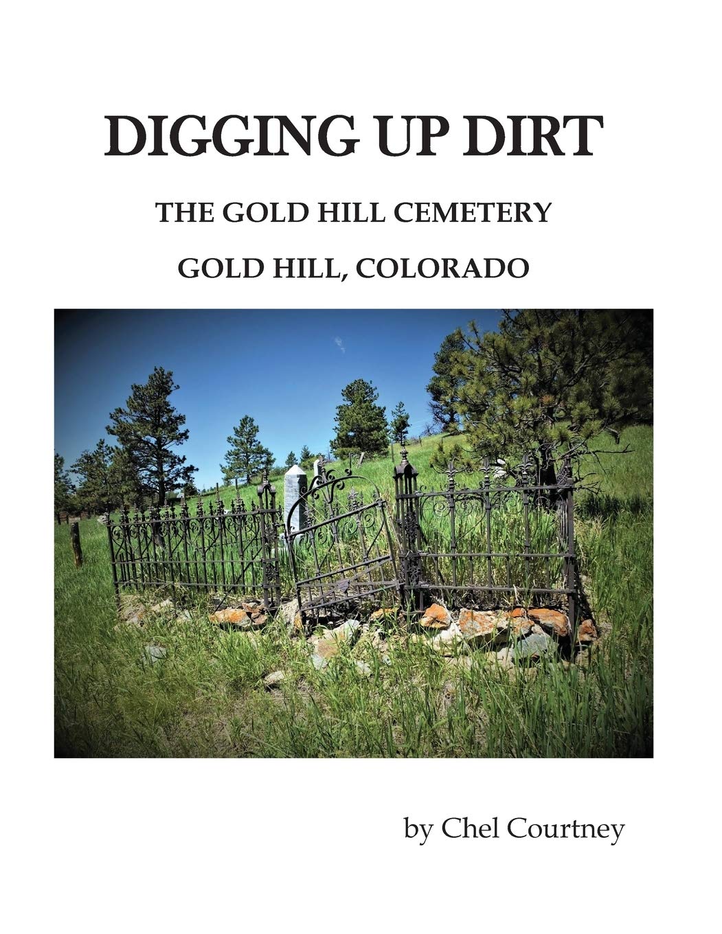 Digging Up Dirt: The Gold Hill Cemetery, Gold Hill, Colorado by Chellee Courtney