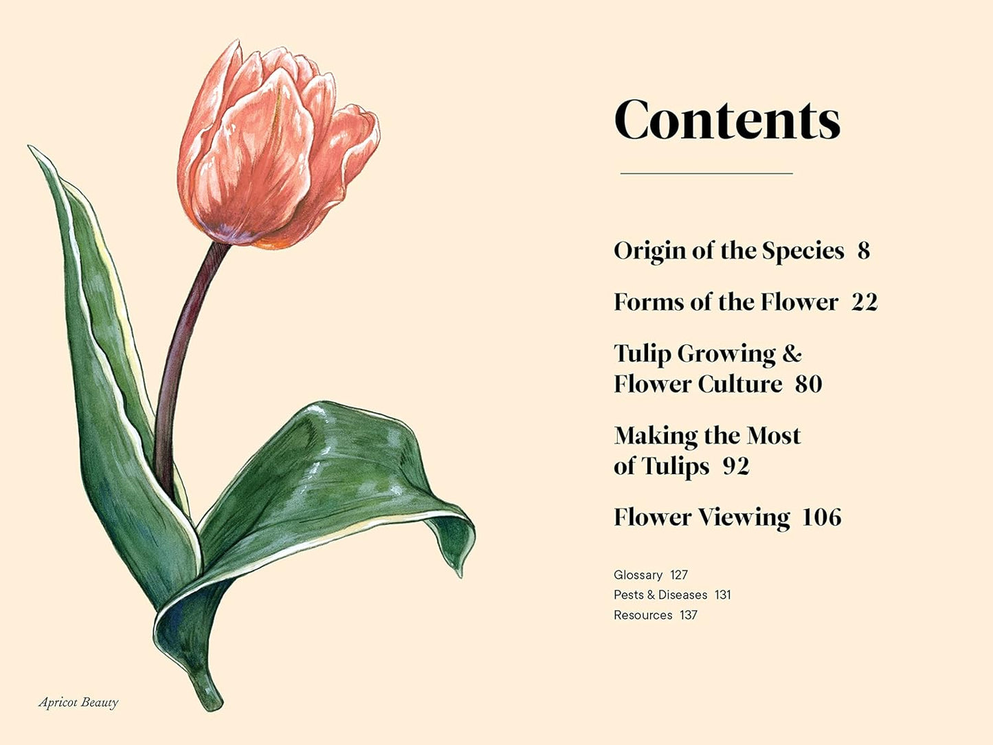 Tulips: A Little Book of Flowers by Tara Austen Weaver