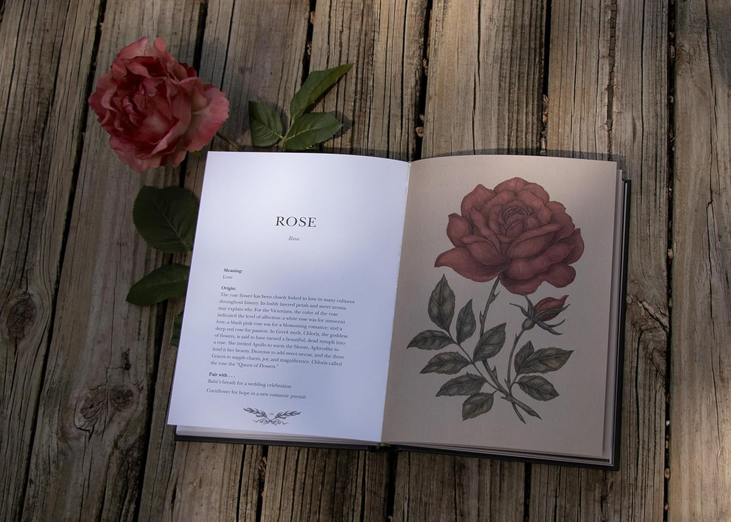 Floriography: An Illustrated Guide to the Victorian Language of Flowers Volume 1 by Jessica Roux