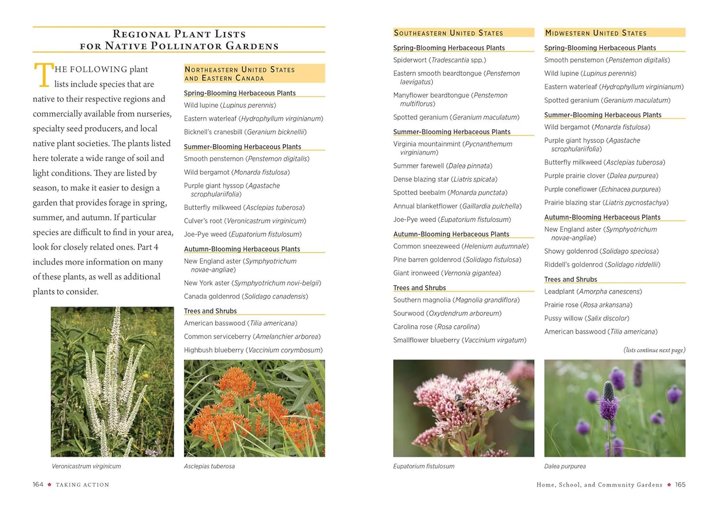 Attracting Native Pollinators: The Xerces Society Guide Protecting North America's Bees and Butterflies by The Xerces Society