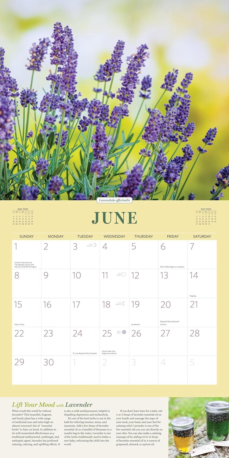 Rosemary Gladstar's Herbs for Healing Wall Calendar 2025: Remedies and Recipes for a Year of Holistic Self-Care