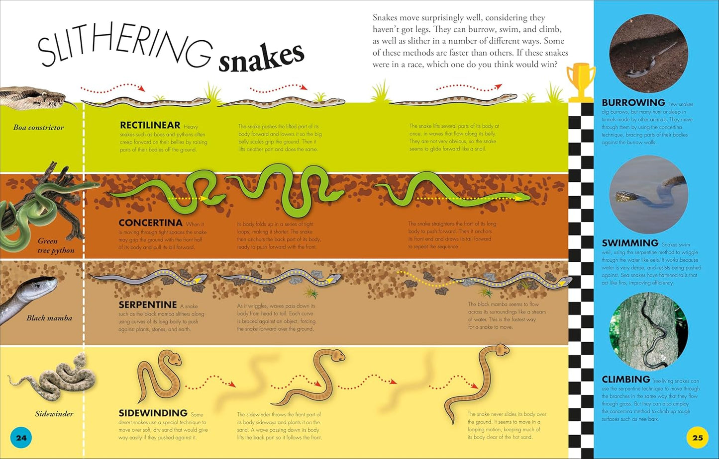 Everything You Need to Know about Snakes: And Other Scaly Reptiles by John Woodward