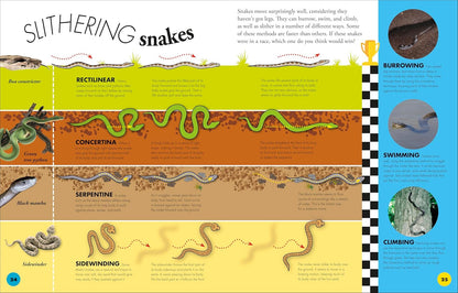 Everything You Need to Know about Snakes: And Other Scaly Reptiles by John Woodward