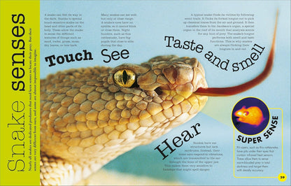 Everything You Need to Know about Snakes: And Other Scaly Reptiles by John Woodward