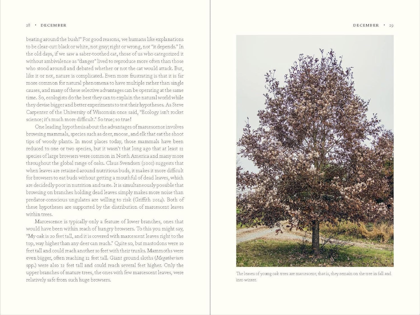 The Nature of Oaks: The Rich Ecology of Our Most Essential Native Trees by Douglas W Tallamy