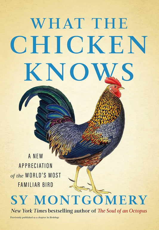 What the Chicken Knows: A New Appreciation of the World's Most Familiar Bird by Sy Montgomery (Author)