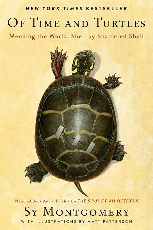 Of Time and Turtles: Mending the World, Shell by Shattered Shell by Montgomery, Sy (Author) , Patterson, Matt (Illustrator)