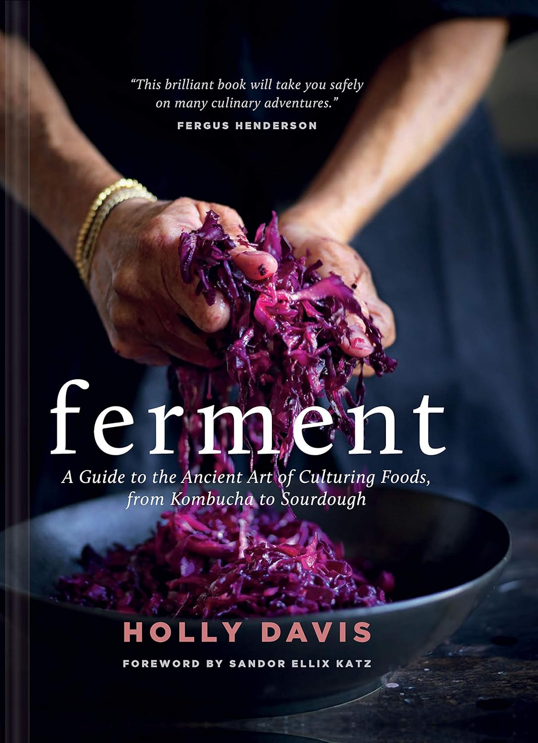 Ferment: A Guide to the Ancient Art of Culturing Foods, from Kombucha to Sourdough by Holly Davis