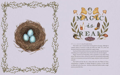 The Wheel of the Year: An Illustrated Guide to Nature's Rhythms by Fiona Cook, The Wheel of the Year: An Illustrated Guide to Nature's Rhythms Contributor(s): Cook, Fiona, Jessica Roux (Illustrator)