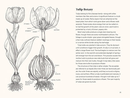 Tulips: A Little Book of Flowers by Tara Austen Weaver