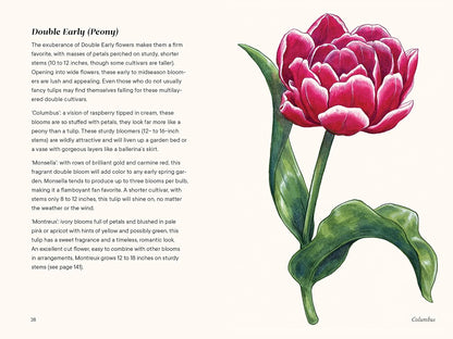 Tulips: A Little Book of Flowers by Tara Austen Weaver