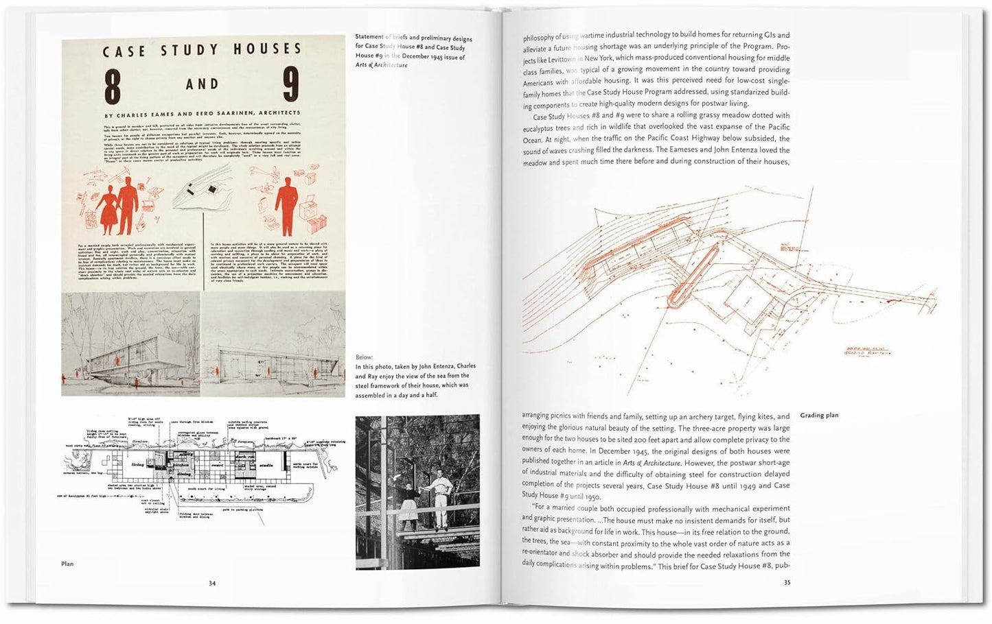 Eames by Gloria Koenig