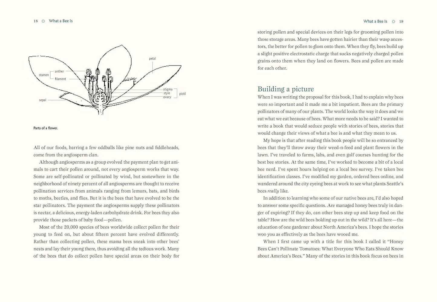 Our Native Bees: North America's Endangered Pollinators and the Fight to Save Them by Paige Embry