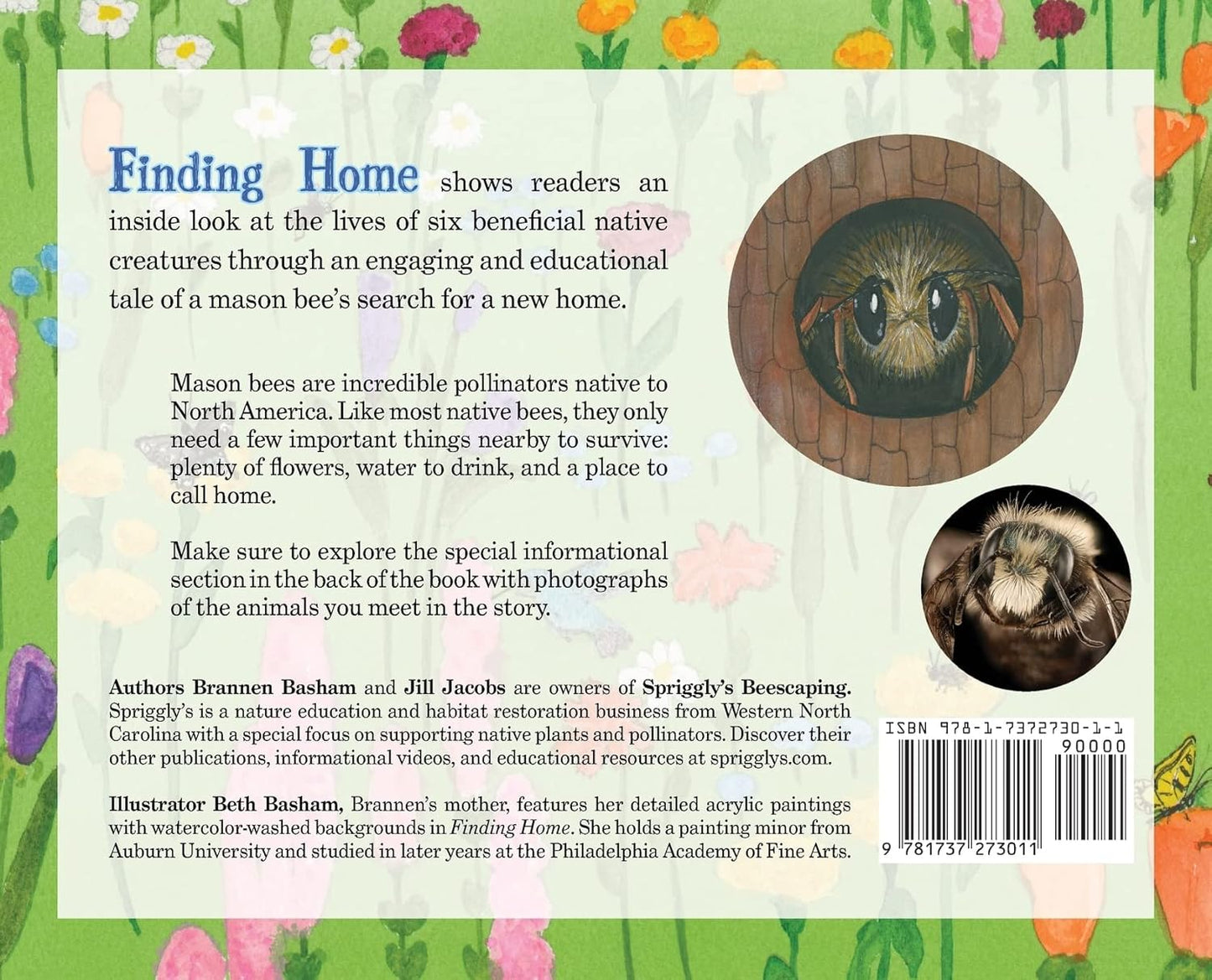 Finding Home: A Story of a Mason Bee by Brannen Basham, Jill Jacobs