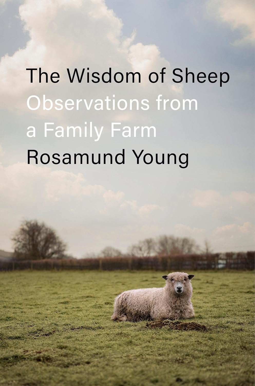 The Wisdom of Sheep: Observations from a Family Farm by Young, Rosamund (Author)