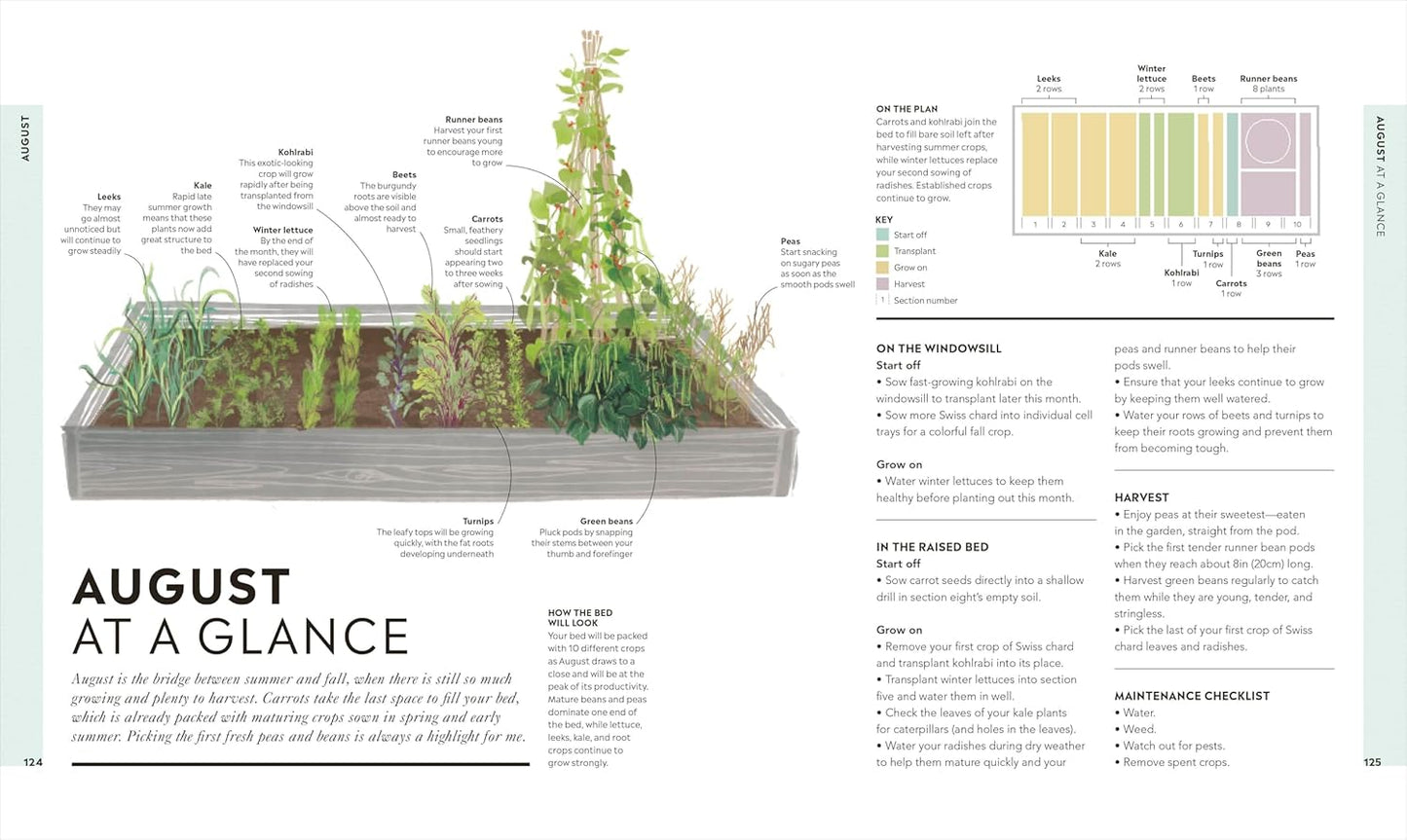 Veg in One Bed New Edition: How to Grow an Abundance of Food in One Raised Bed, Month by Month (2ND ed.) by Huw Richards