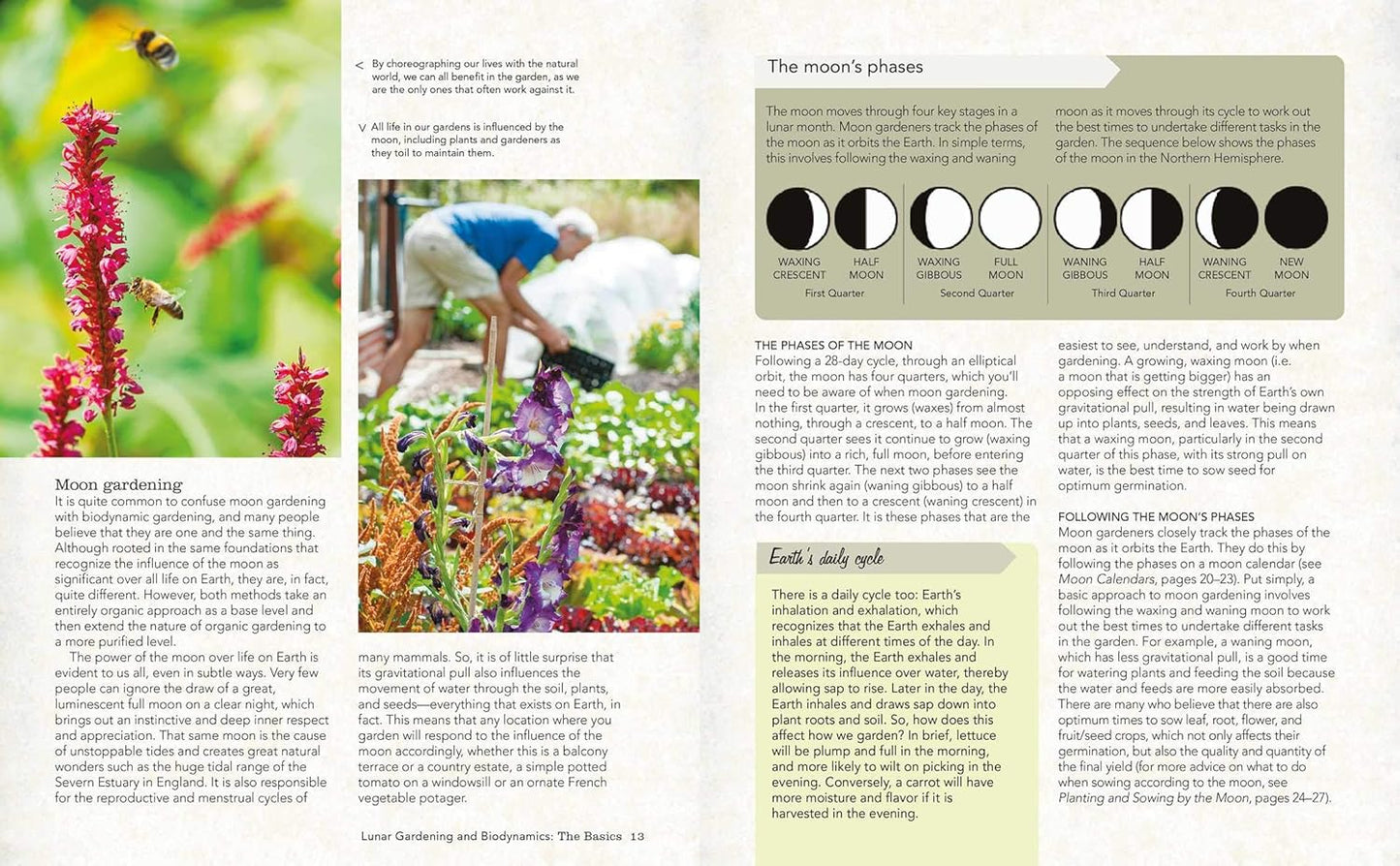 Moon Gardening: Planting Your Biodynamic Garden by the Phases of the Moon by Matt Jackson