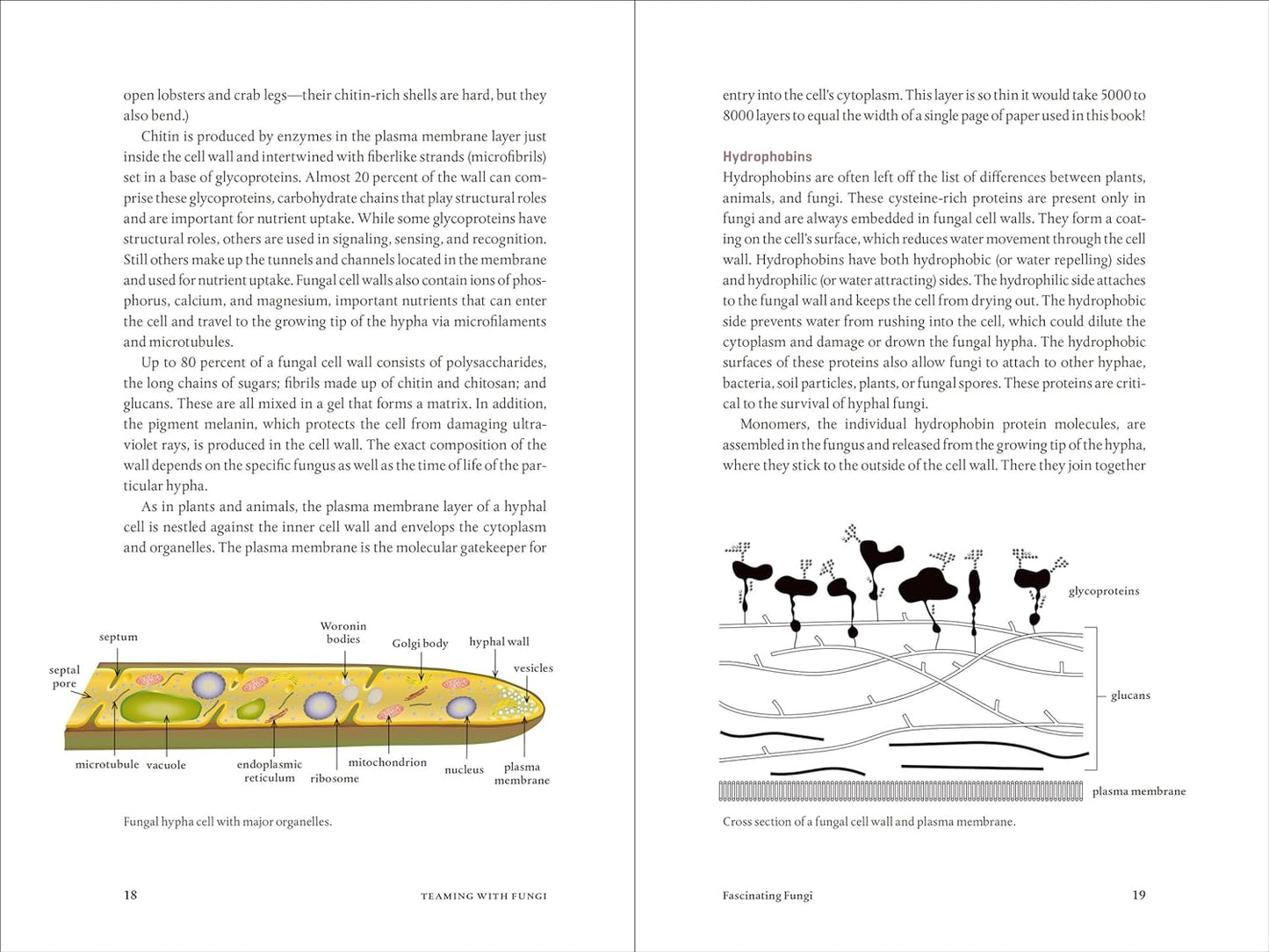 Teaming with Fungi: The Organic Grower's Guide to Mycorrhizae by Jeff Lowenfels