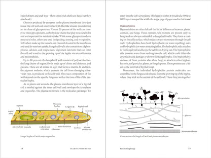 Teaming with Fungi: The Organic Grower's Guide to Mycorrhizae by Jeff Lowenfels