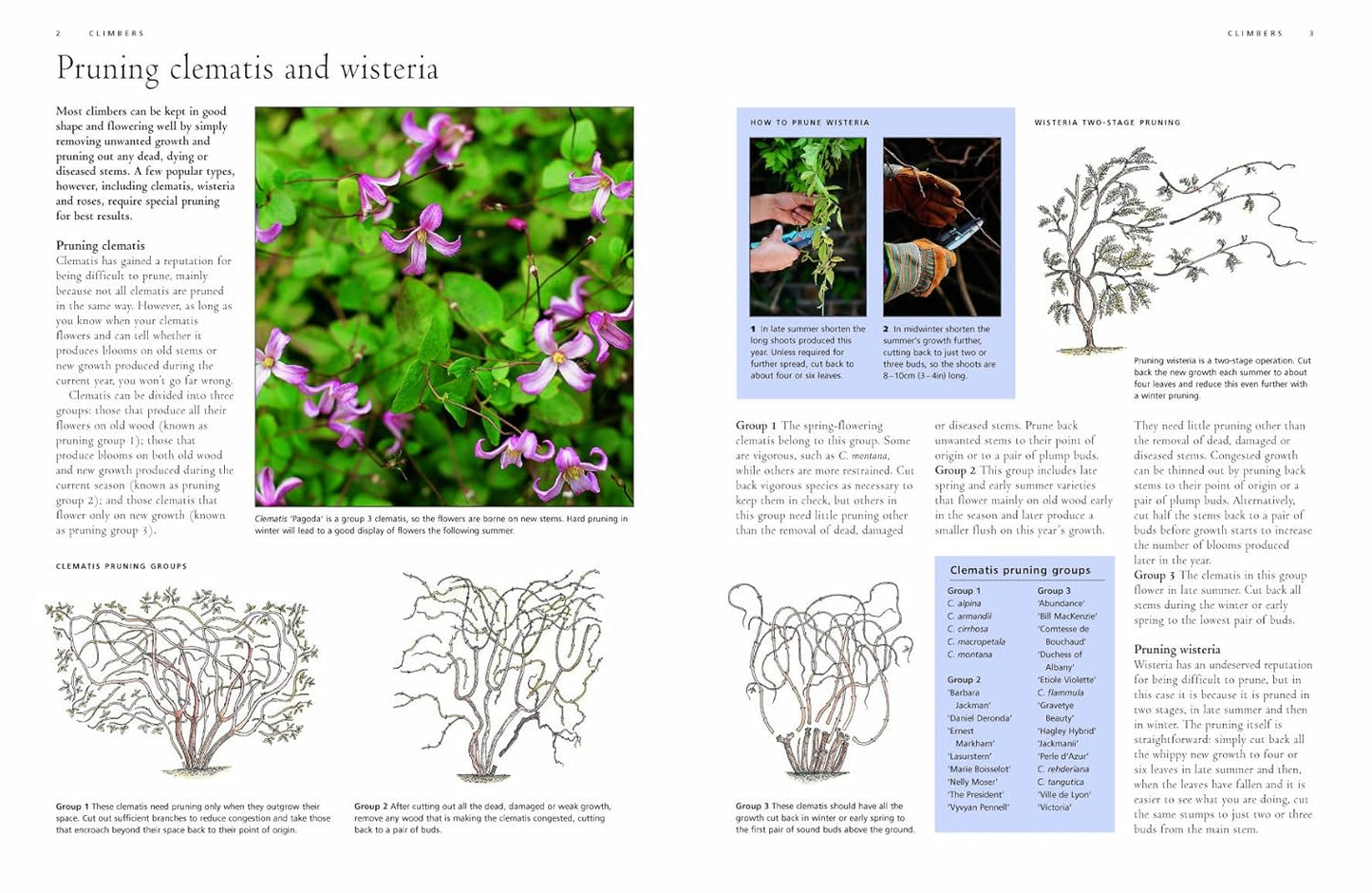 Illustrated Practical Encyclopedia of Pruning, Training and Topiary: How to Prune and Train Trees, Shrubs, Hedges, Topiary, Tree and Soft Fruit, Climb by Richard Bird